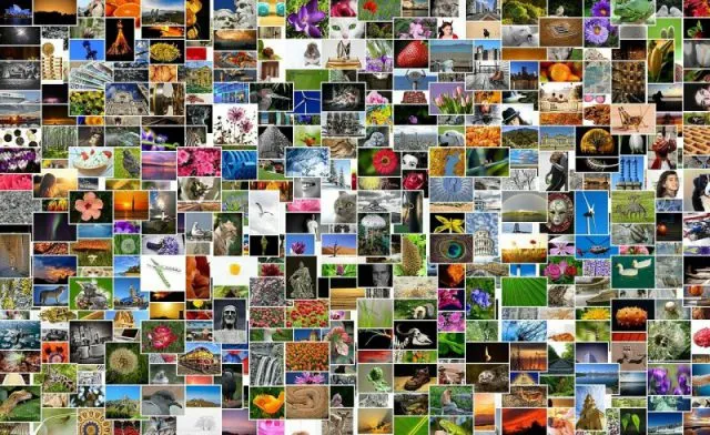 Jakie powinno być portfolio fotograficzne?